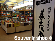 Souvenir shop